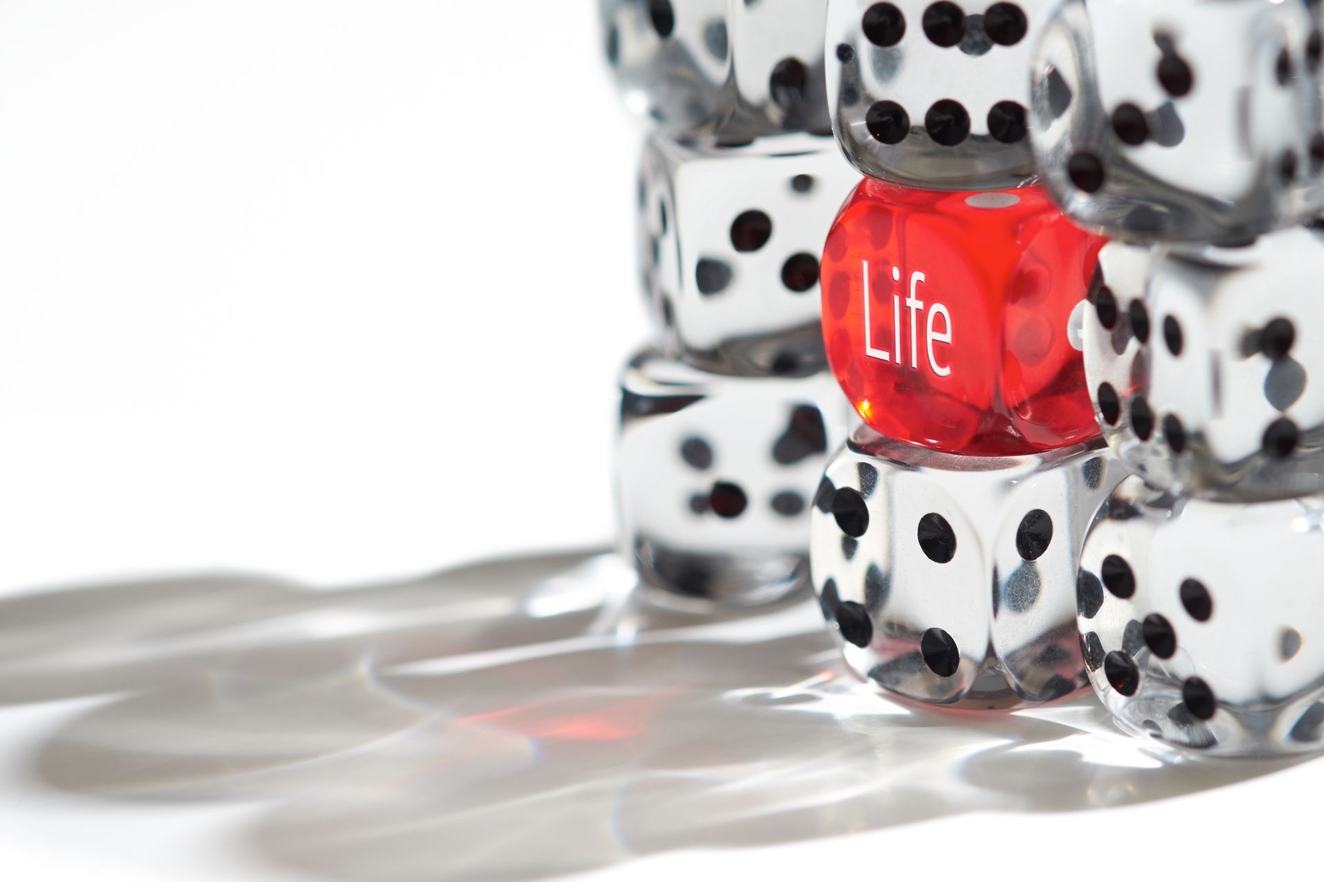 Red Dice Standing out from the crowd,Life Concept .